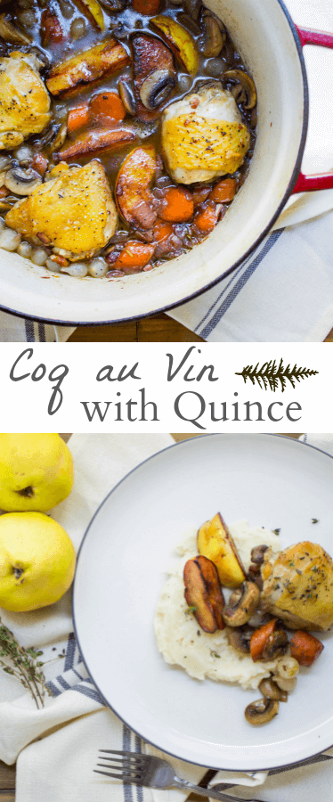 coq au vin