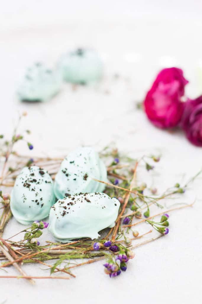 oreo truffle robin eggs