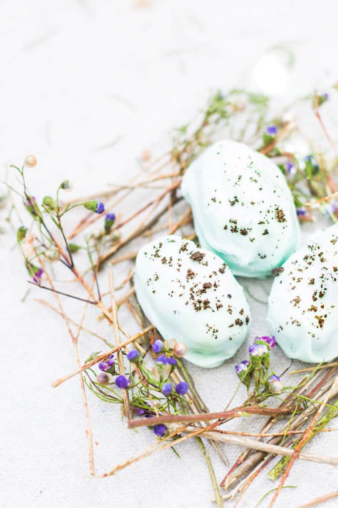 oreo truffle robin eggs