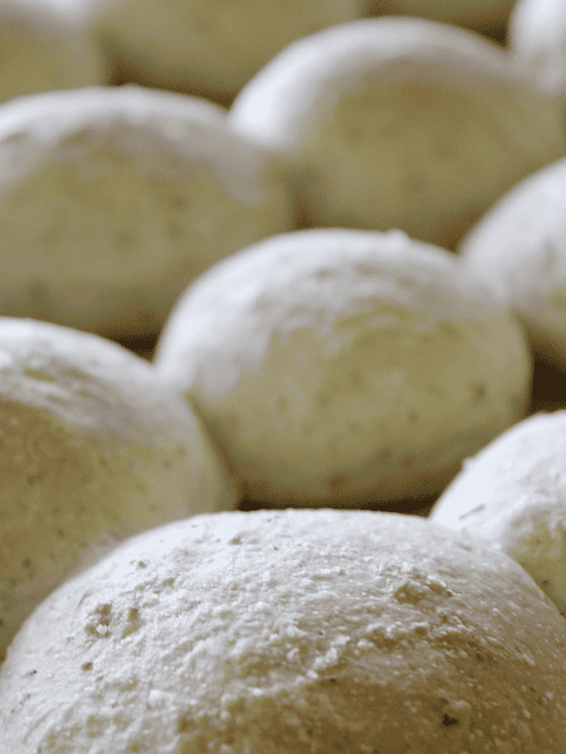 Herbed Dinner Rolls Recipe