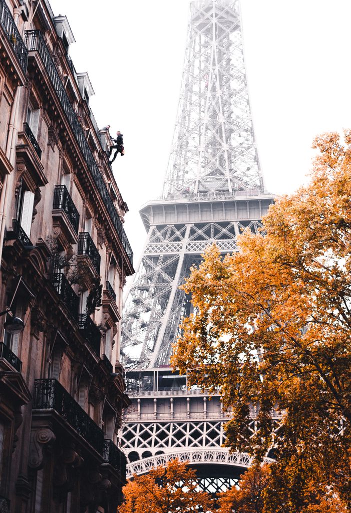 A stunning view of the Eiffel Tower with autumn trees and Parisian buildings.