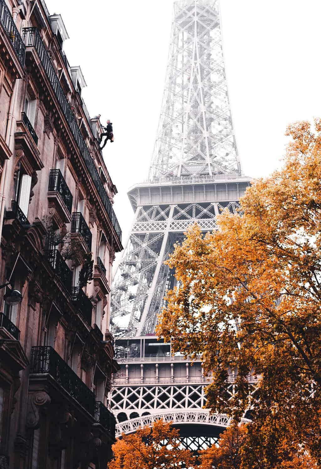 A stunning view of the Eiffel Tower with autumn trees and Parisian buildings.